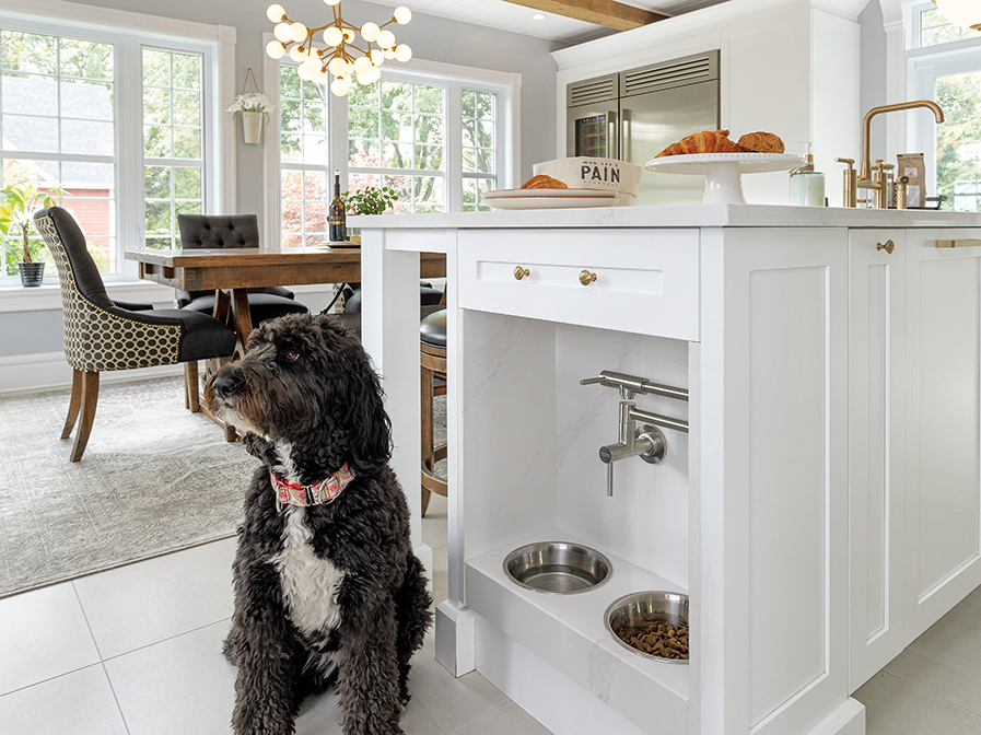 3 idées pour intégrer le nécessaire de vos animaux à votre déco!